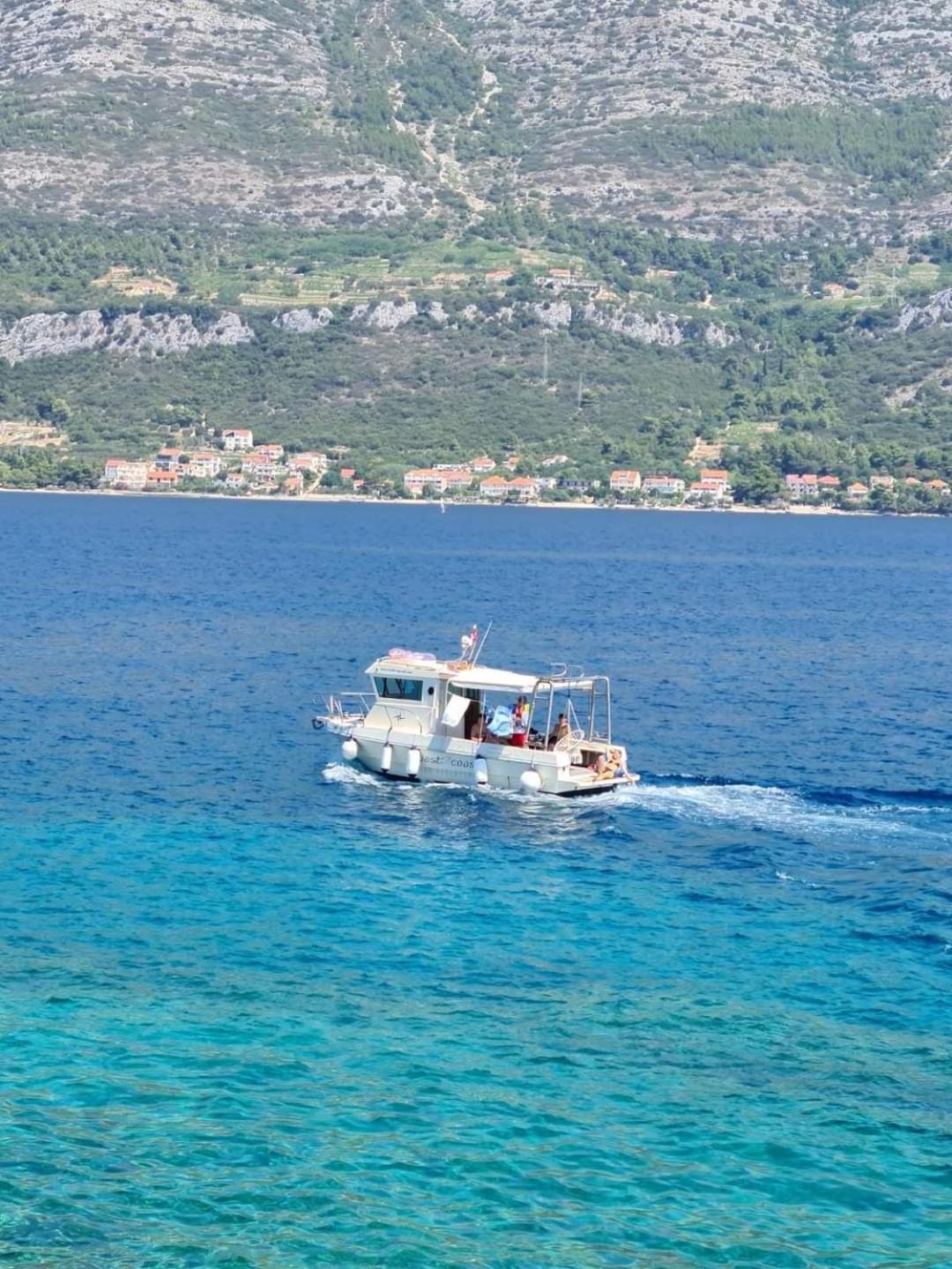 Vila Tea Medvinjak المظهر الخارجي الصورة